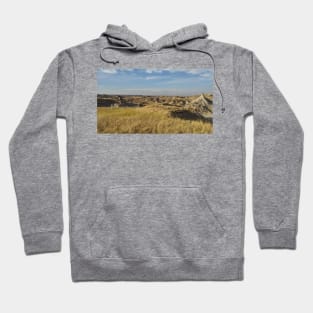 Dusty Views Hoodie